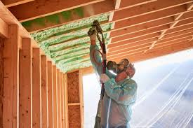 Best Soundproof Insulation  in Lopezville, TX