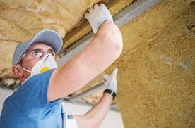 Best Basement Insulation  in Lopezville, TX