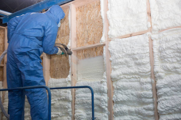 Best Crawl Space Insulation  in Lopezville, TX